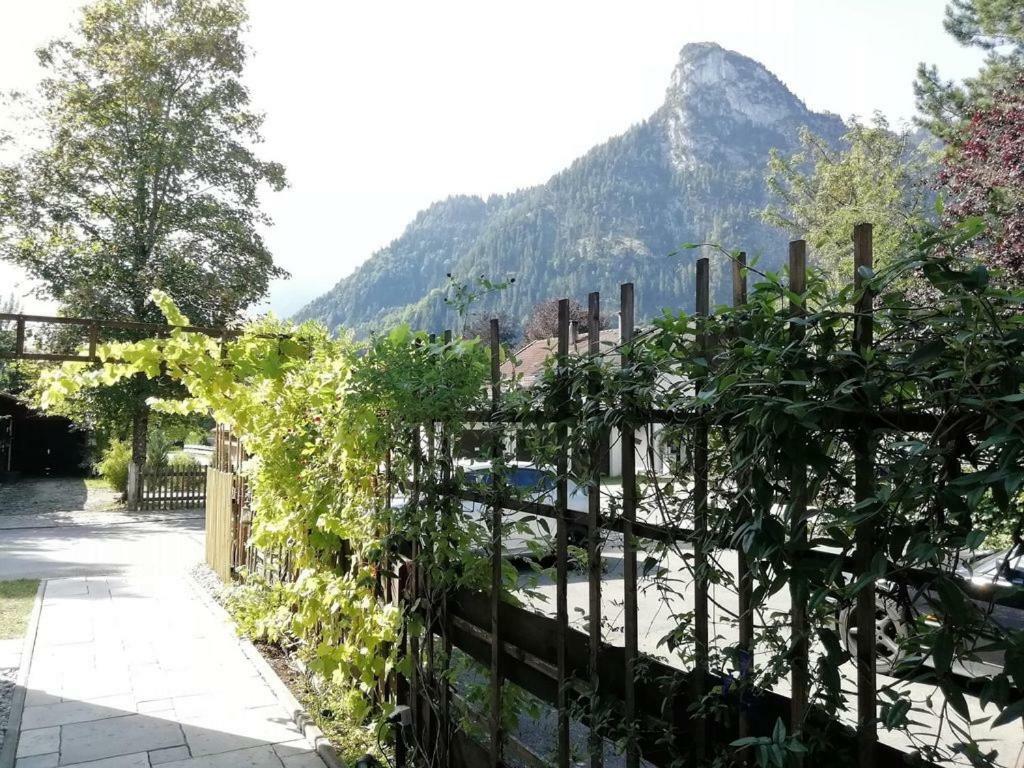 Koenig Ludwig' Das Maerchenhafte Appartement 奥巴拉马高 外观 照片