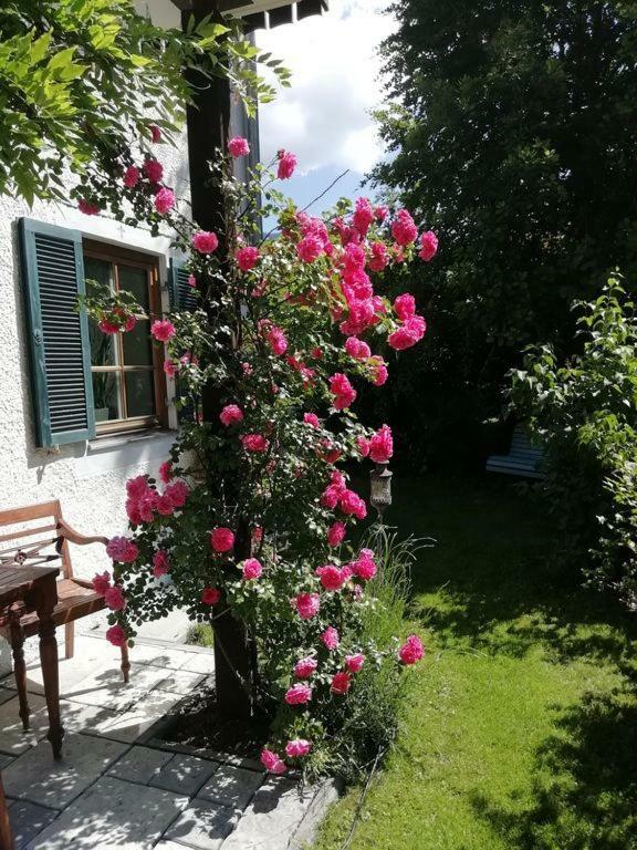 Koenig Ludwig' Das Maerchenhafte Appartement 奥巴拉马高 外观 照片